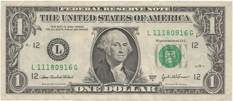 Real US Dollar